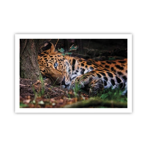 Affisch - Tro mig - 91x61 cm