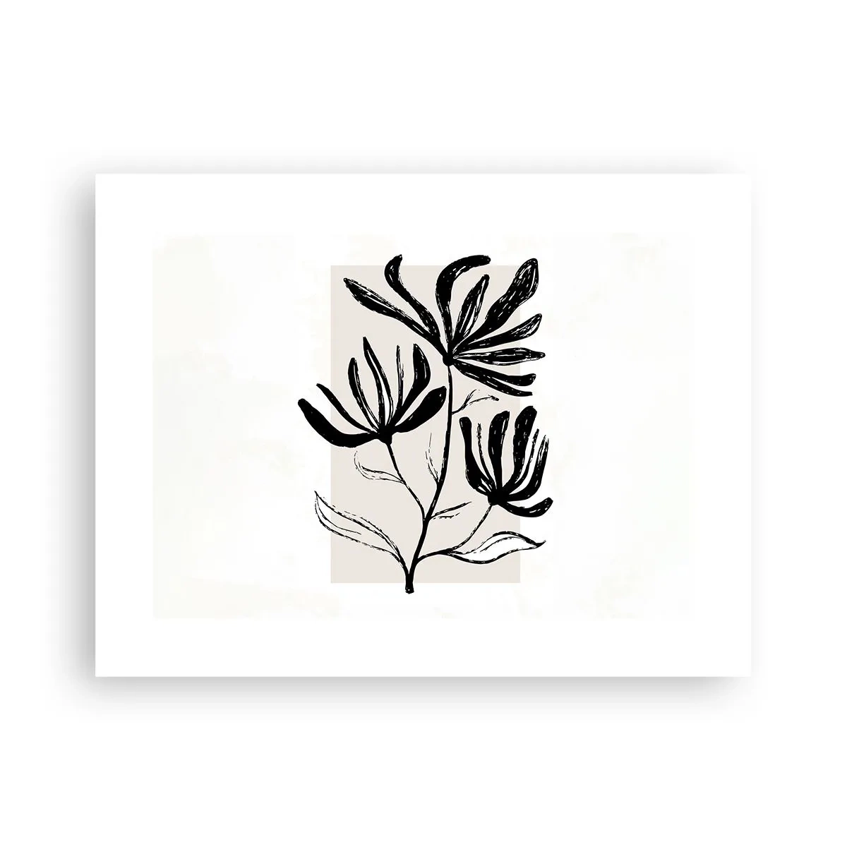 Affisch - Skiss för ett herbarium - 40x30 cm