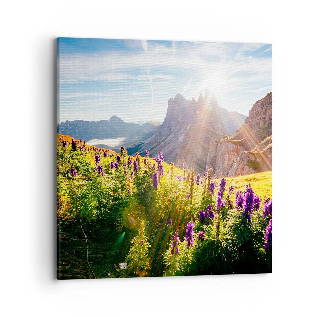 Canvastavla - Bild på duk - Örternas hemliga liv - 70x70 cm