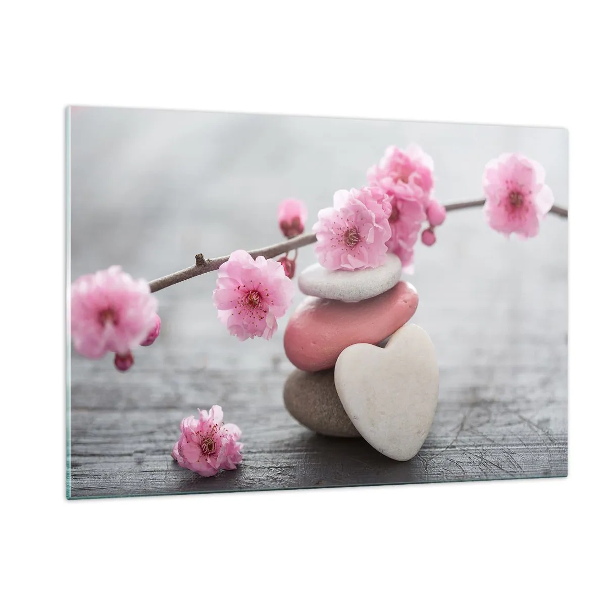 Glastavla - Bild på glas - Salighet med körsbärsblomma - 120x80 cm