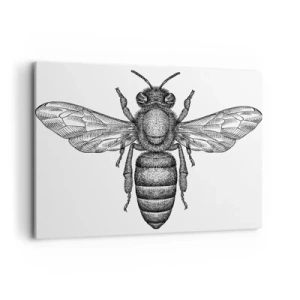 Canvastavla - Bild på duk - Porträtt av en insekt - 100x70 cm