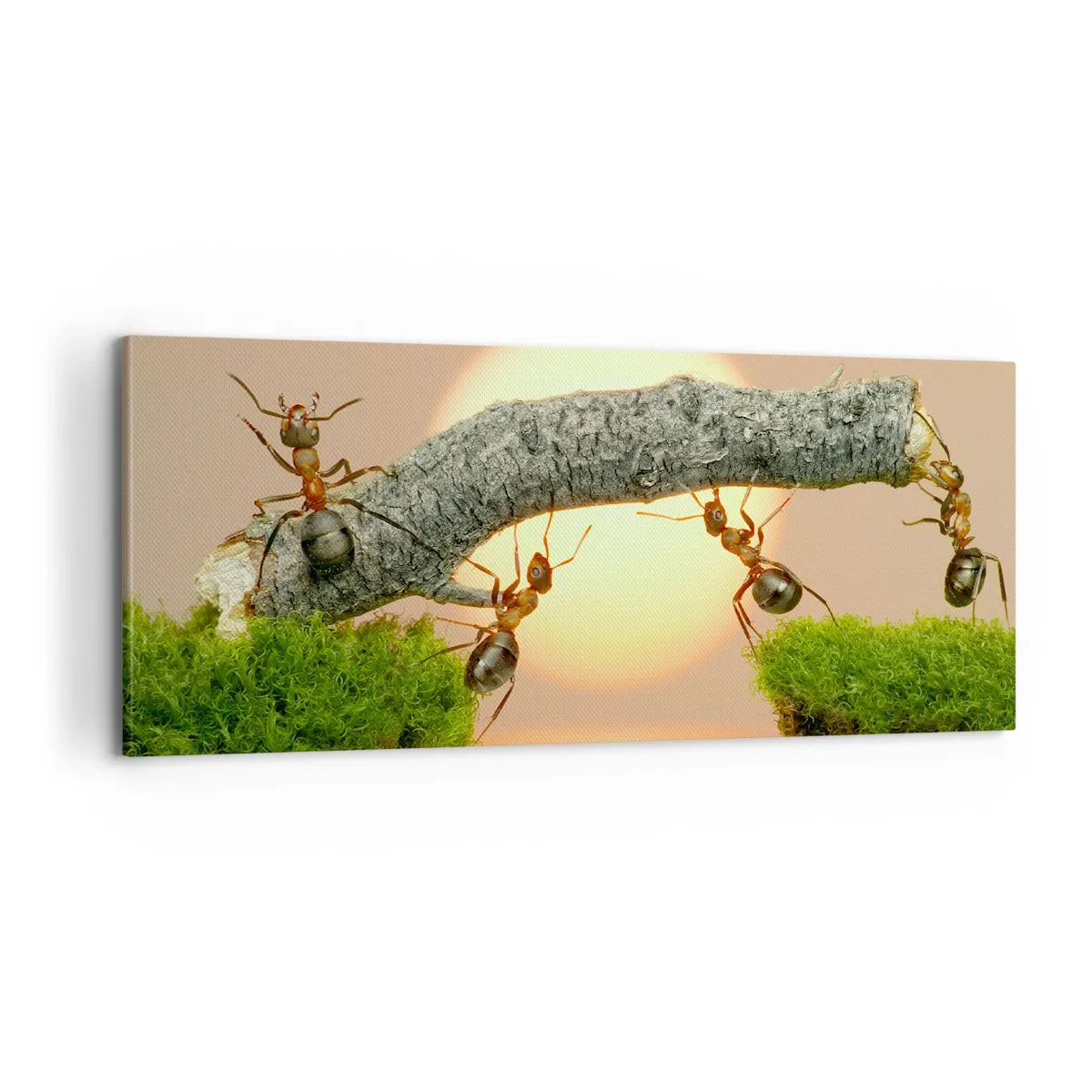 Canvastavla - Bild på duk - Glatt, gemensamt arbete - 100x40 cm