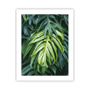 Affisch - Doppa sig i fräschheten - 40x50 cm