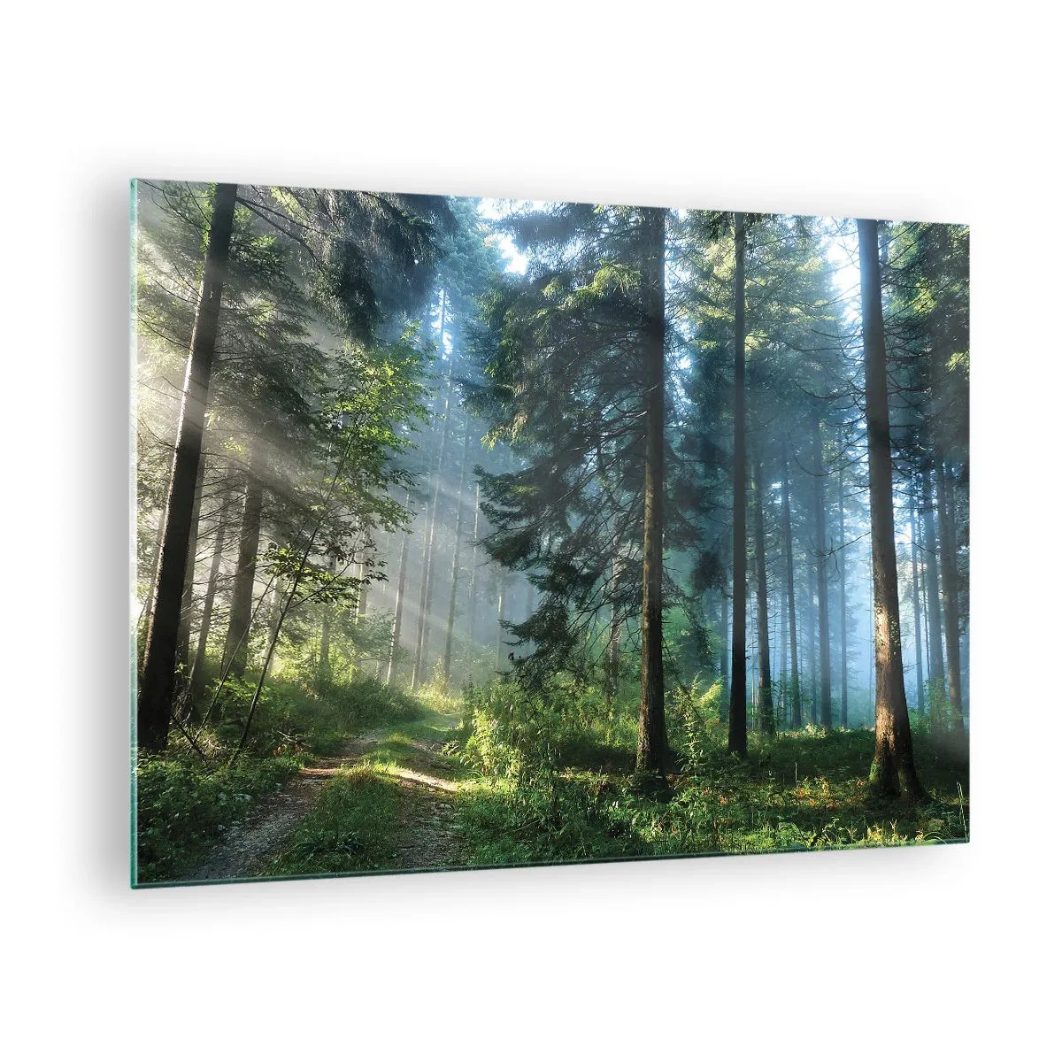 Glastavla - Bild på glas - En skogsstig i morgondimman bland höga träd - 70x50cm - Strålande på morgonen - Modern väggdekoration för vardagsrum och sovrum ARTTOR