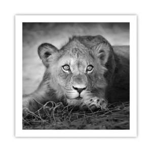 Affisch - Kunglig valp - 60x60 cm