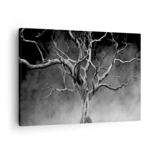 Canvastavla - Bild på duk - Ett torrt träd i svartvitt mot dimman - 70x50cm - Ursprungligt och heligt - Modern väggdekoration för vardagsrum och sovrum ARTTOR