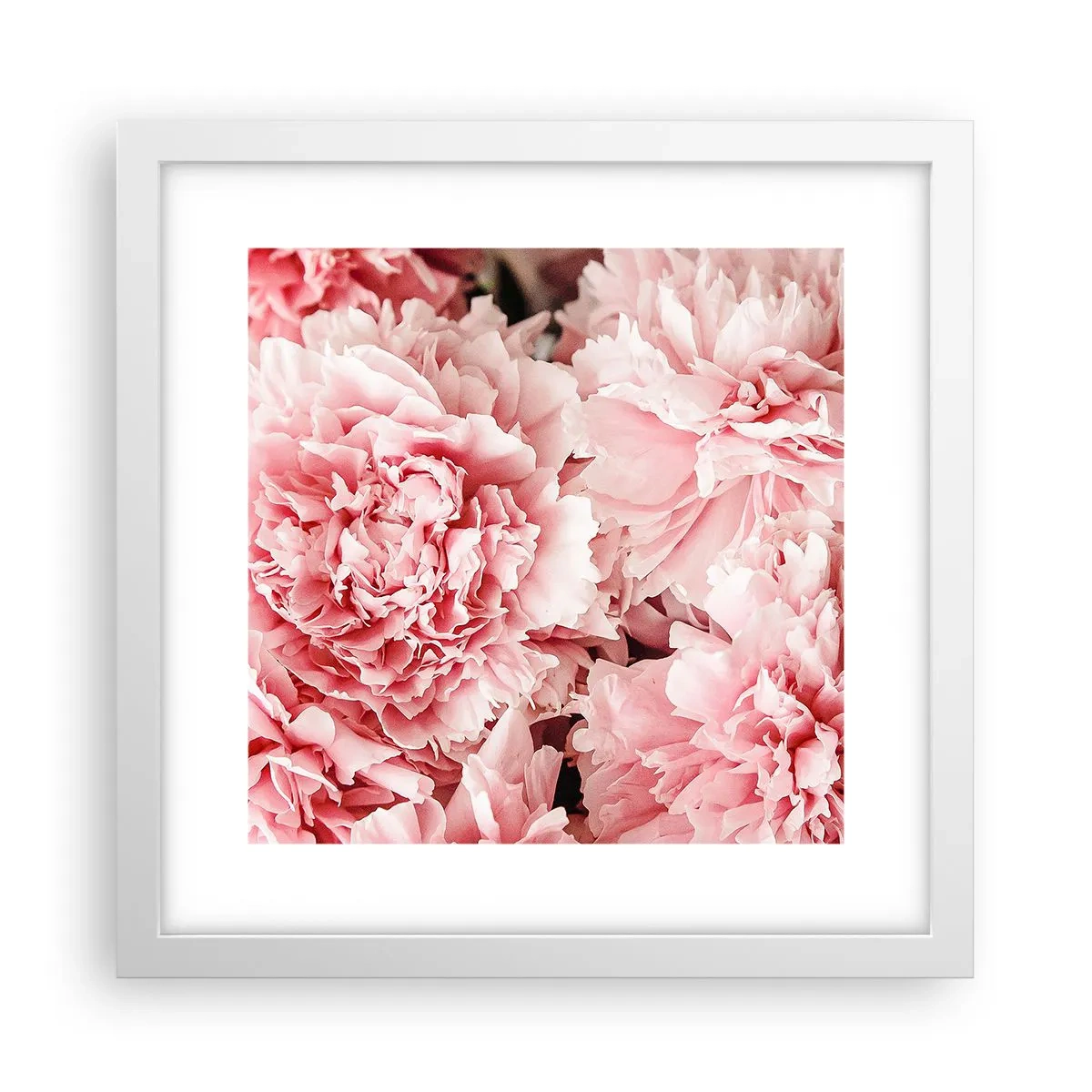 Affisch i vit ram - Rosa dröm - 30x30 cm