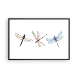 Affisch i svart ram - Viktlösa trollsländor - 91x61 cm