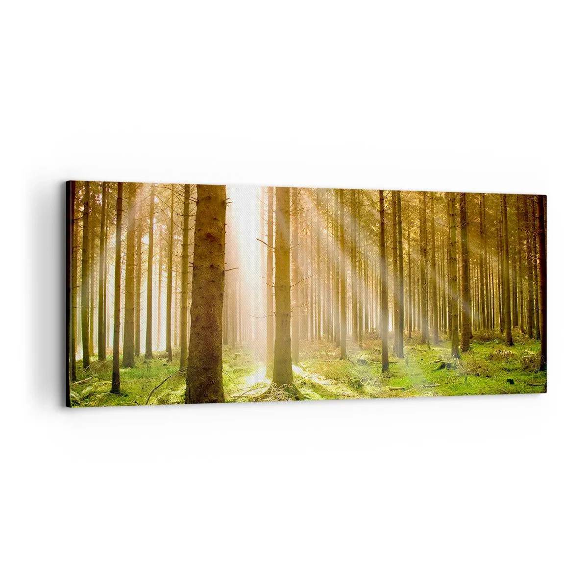 Canvastavla - Bild på duk - Snart kommer alverna - 100x40 cm