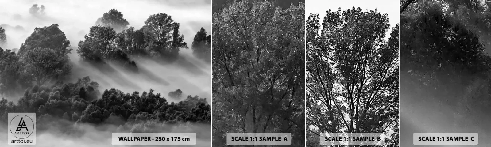 Provbit av självhäftande fototapet Deluxe Sticker - Stiger ur sömnen - Landskap, Skog, Dimma - 100x30 cm