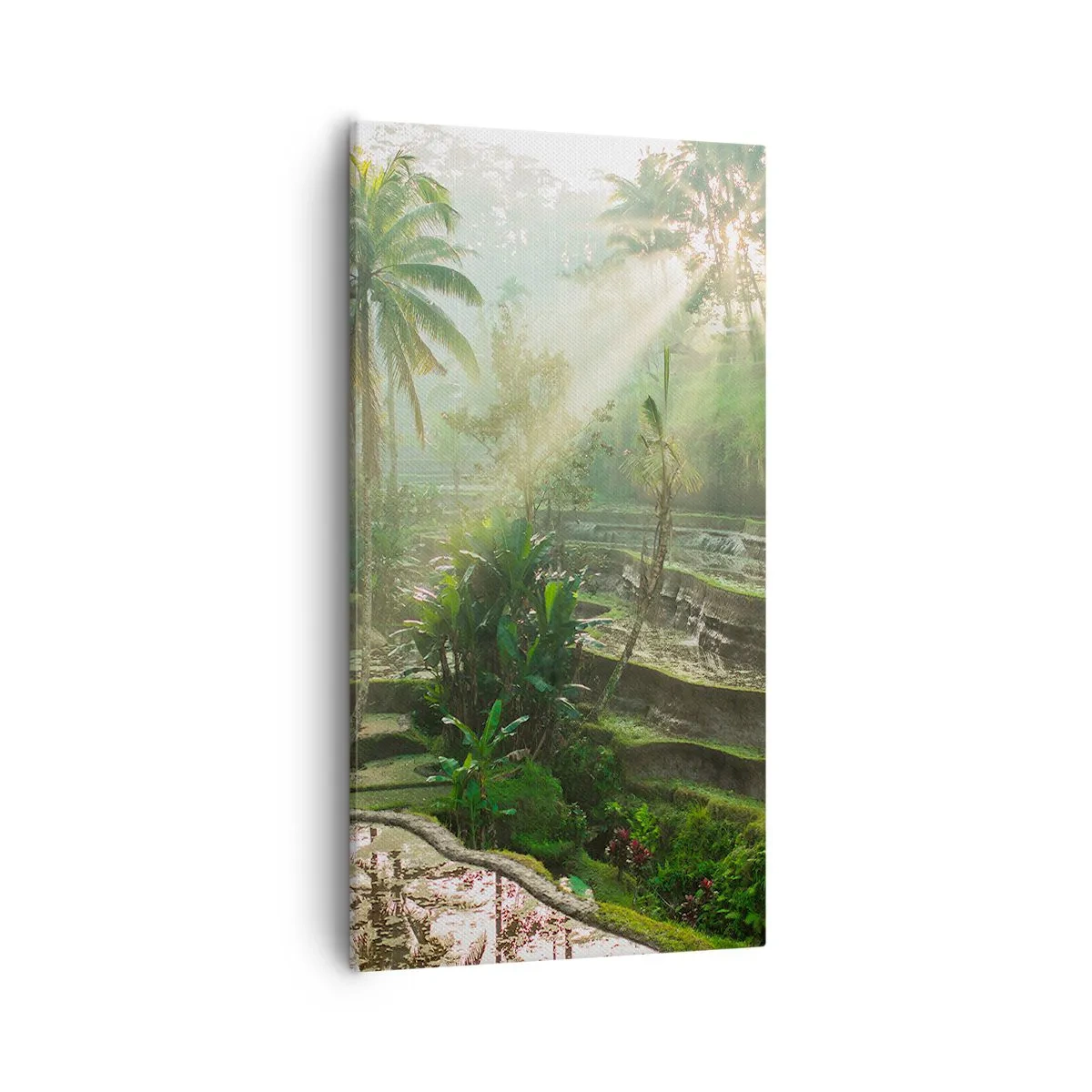 Canvastavla - Bild på duk - Växa upp i solsken - 55x100 cm