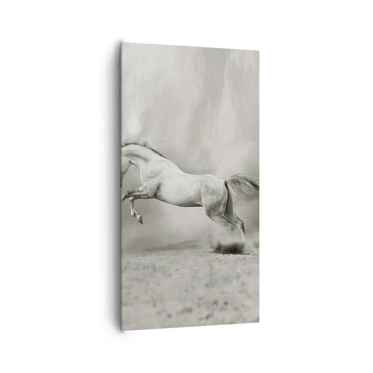 Canvastavla - Bild på duk - Mellan dröm och sömn - 65x120 cm