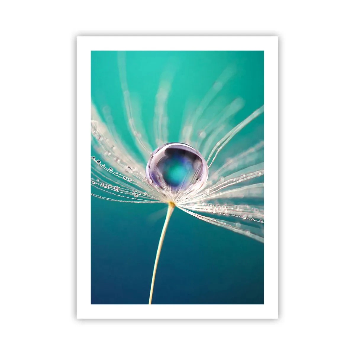 Affisch - Mystisk stund - 50x70 cm