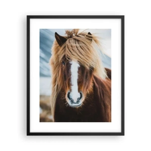 Affisch i svart ram - Känner du friheten? - 40x50 cm