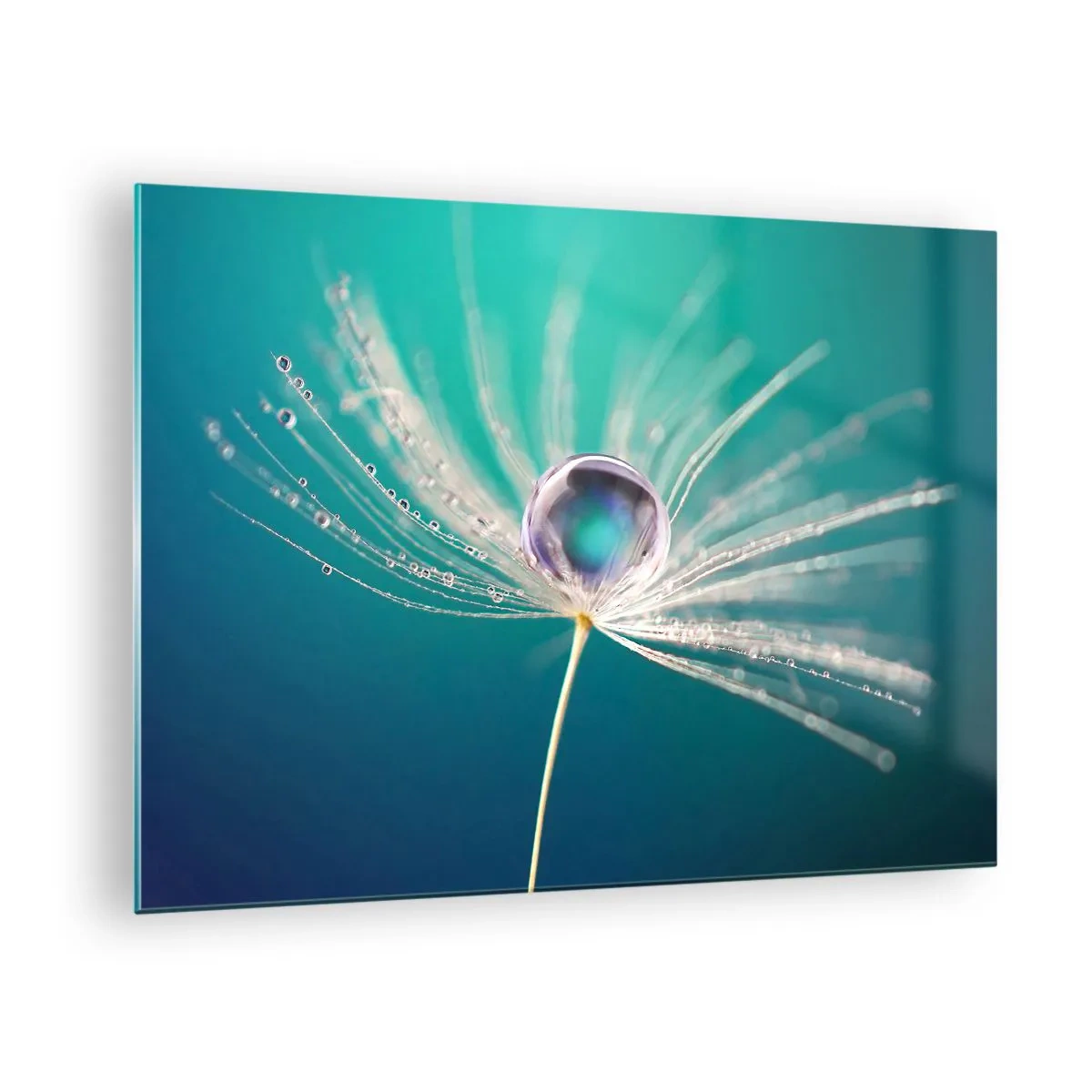 Glastavla - Bild på glas - Makrofotografi av ett maskrosfrö med en daggdroppe på en turkos bakgrund - 70x50cm - Mystisk stund - Modern väggdekoration för vardagsrum och sovrum ARTTOR