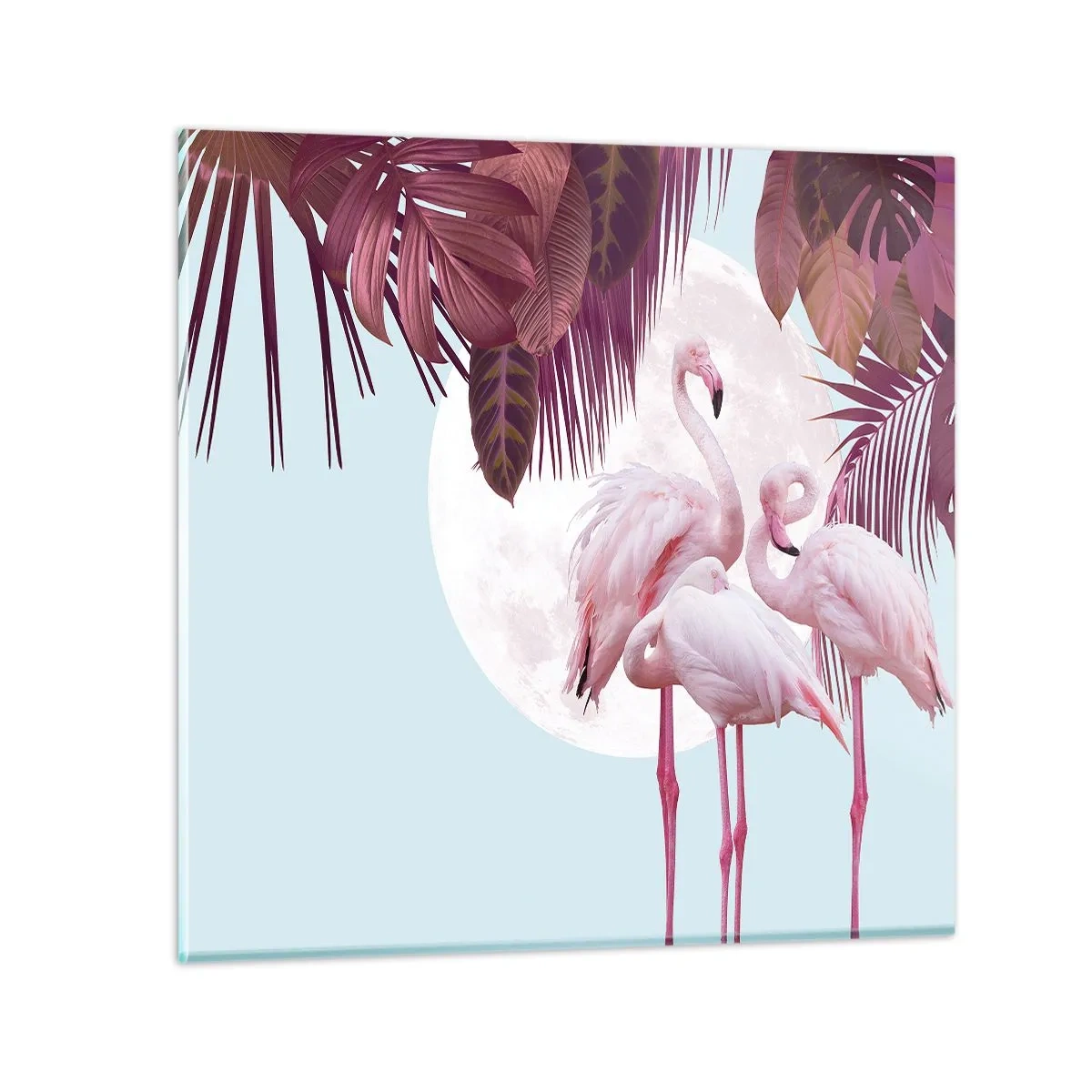 Glastavla - Bild på glas - De tre fågelgracena - 70x70 cm
