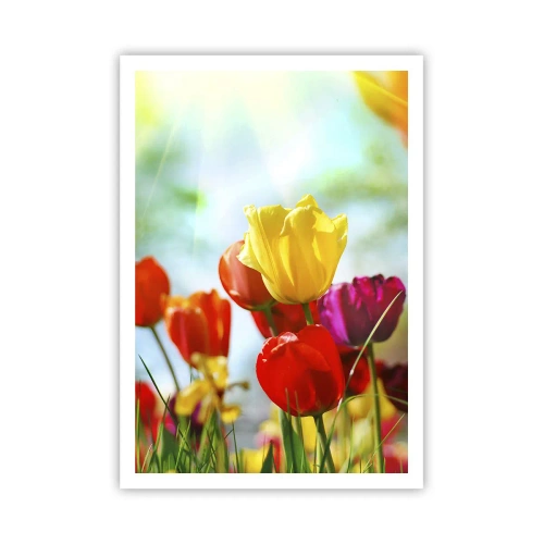 Affisch - Solens alla färger - 70x100 cm