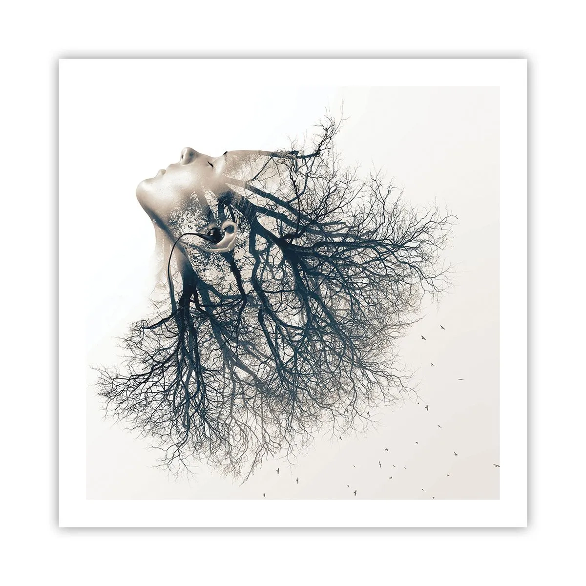 Affisch - Lyssnar på trädens viskningar - 60x60 cm