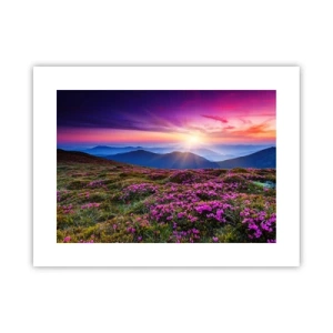 Affisch - Doftande örter - 40x30 cm