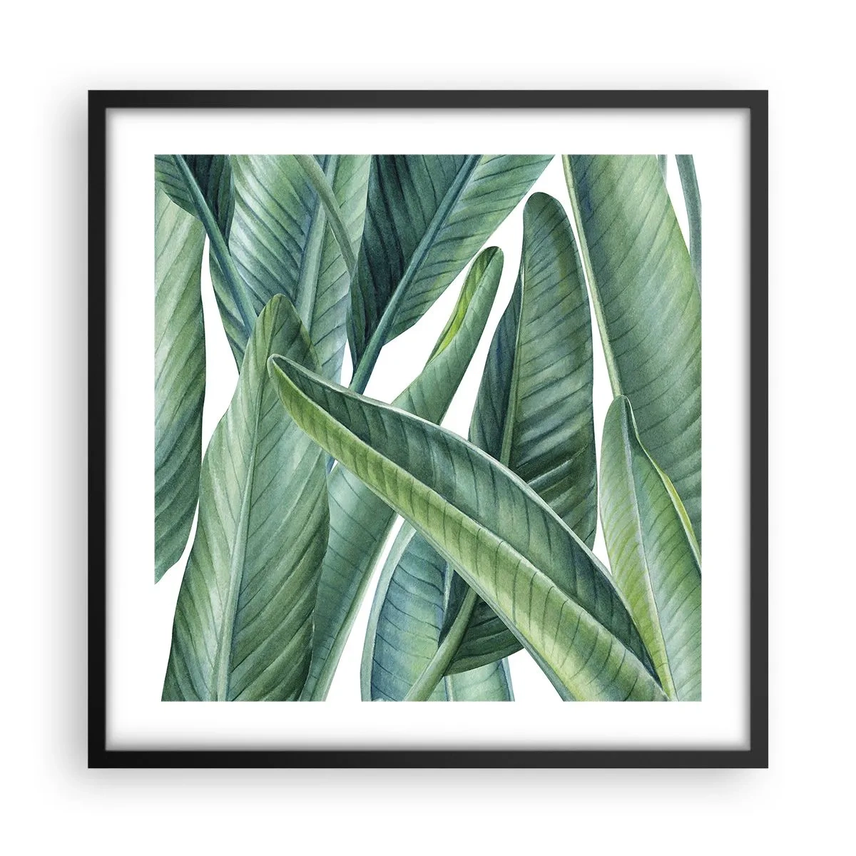 Affisch i svart ram - Grönskan i sig själv - 50x50 cm