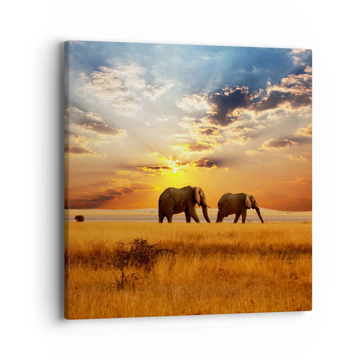 Canvastavla - Bild på duk - Familjepromenad - 40x40 cm