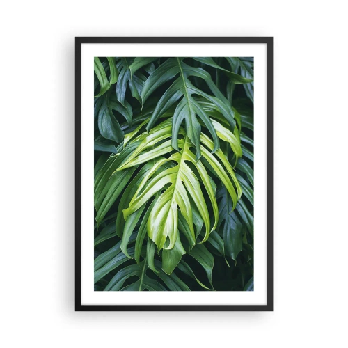 Affisch i svart ram - Närbild av gröna monsterablad - 50x70cm - Doppa sig i fräschheten - Modern väggdekoration för vardagsrum och sovrum ARTTOR