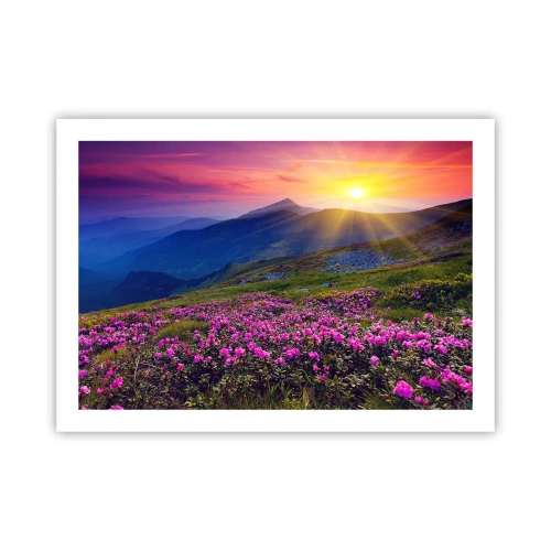 Affisch - … Bergtallen doftar och örterna luktar runt omkring - 70x50 cm