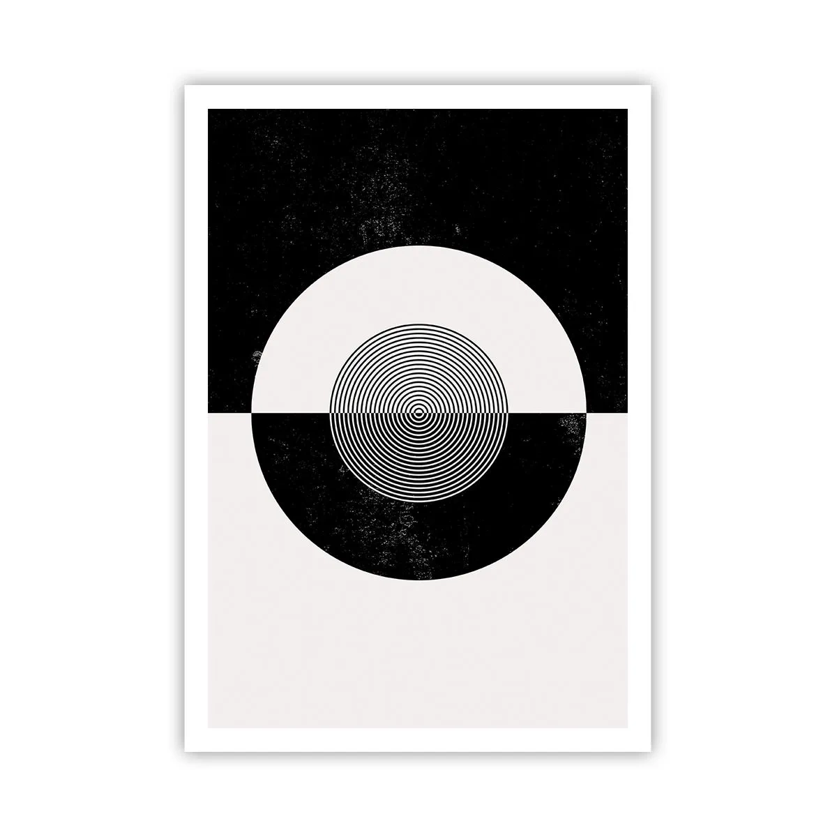 Affisch - Harmoni i svart och vitt - 70x100 cm
