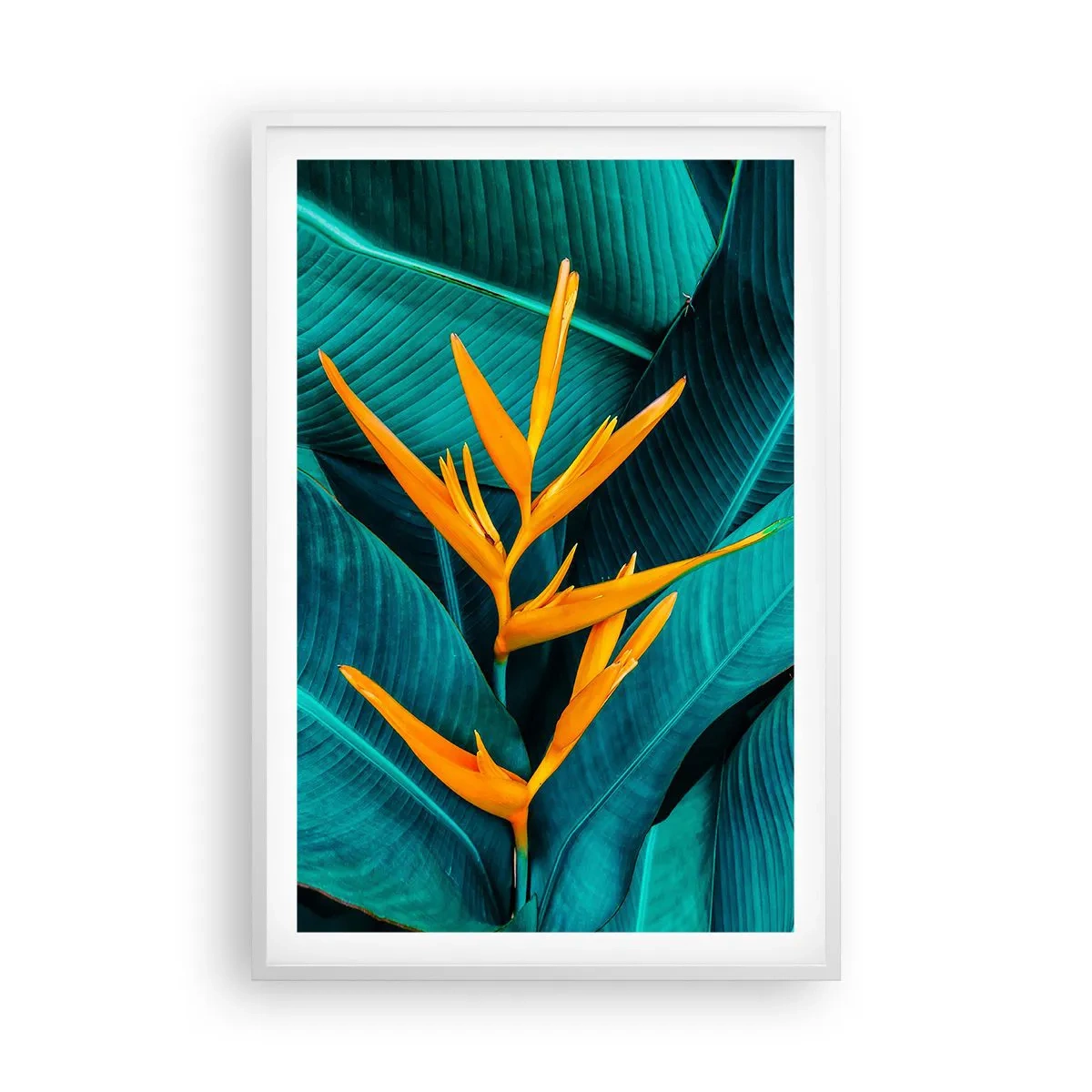 Affisch i vit ram - Edens blomma - 61x91 cm