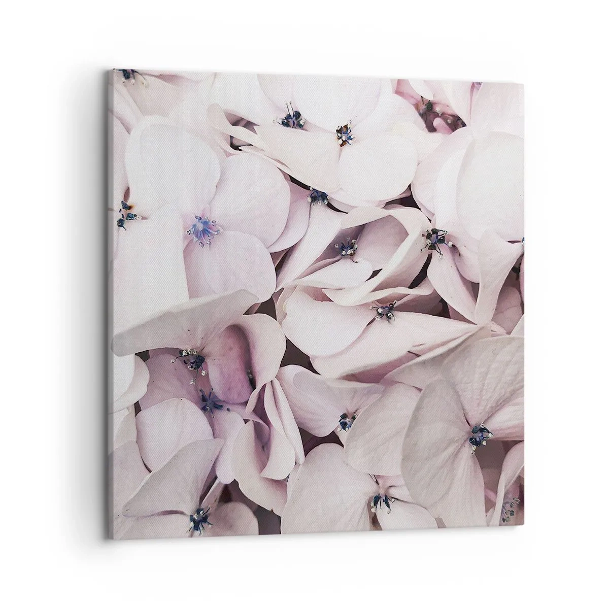 Canvastavla - Bild på duk - I en flod av blommor - 50x50 cm