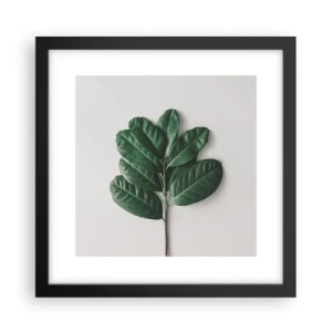 Affisch i svart ram - Själva naturens bild - 30x30 cm