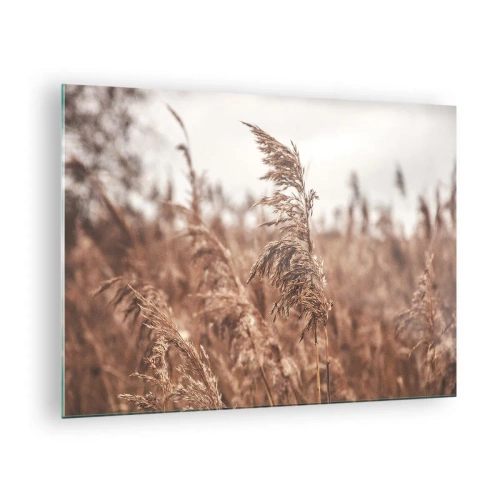Glastavla - Bild på glas - Torkat gräs i vinden i naturens höstljus - 70x50cm - Hösten är framme på åkrarna - Modern väggdekoration för vardagsrum och sovrum ARTTOR