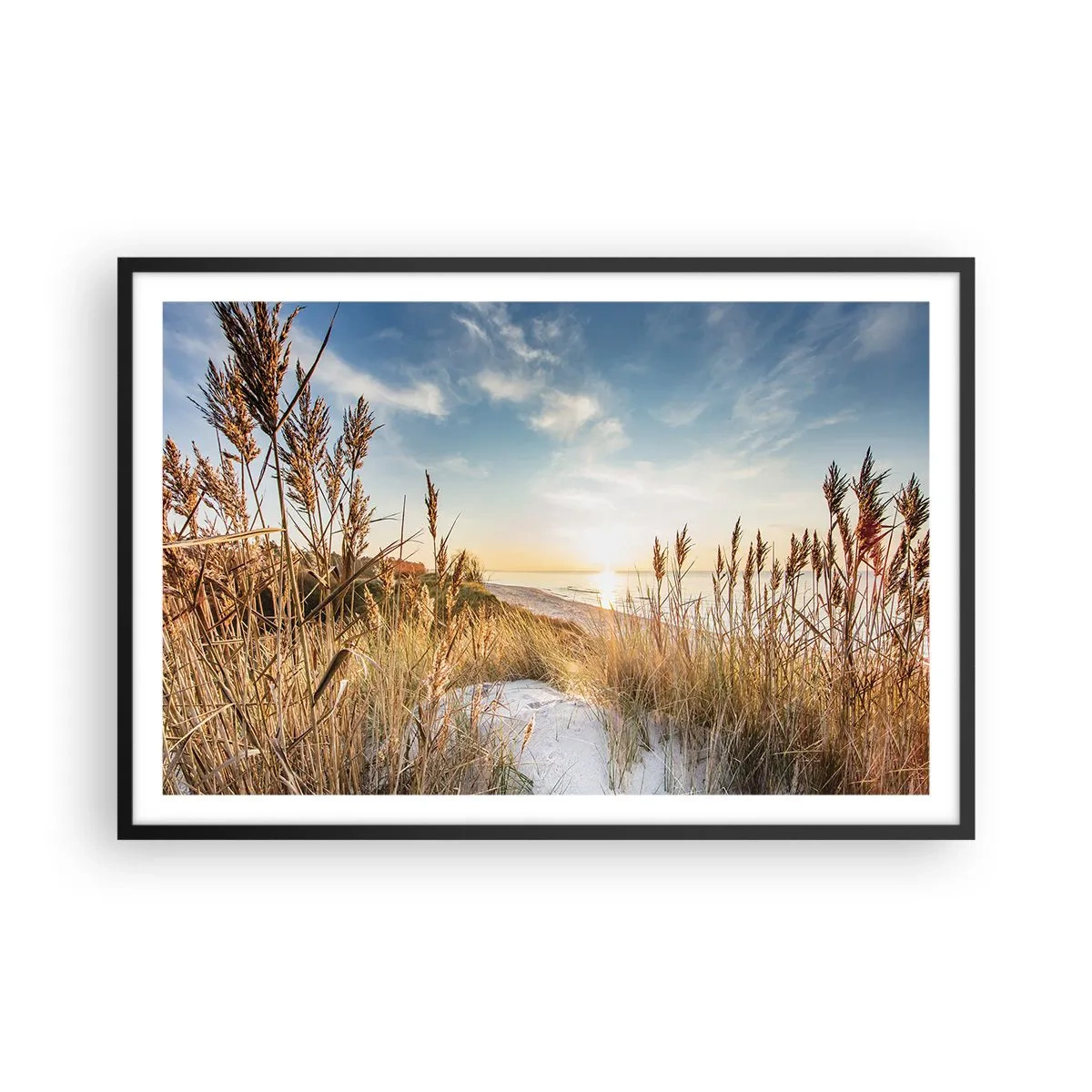 Affisch i svart ram - Nordlig strand - 91x61 cm