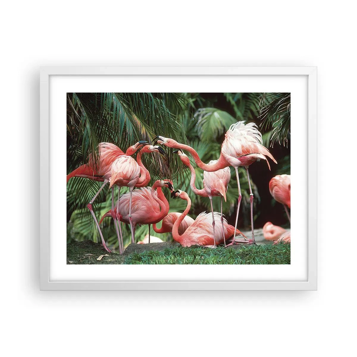 Affisch i vit ram - Eftermiddags skvaller - 50x40 cm