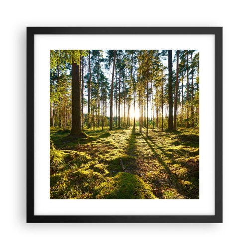 Affisch i svart ram - ...Bortom sjunde skogen - 40x40 cm