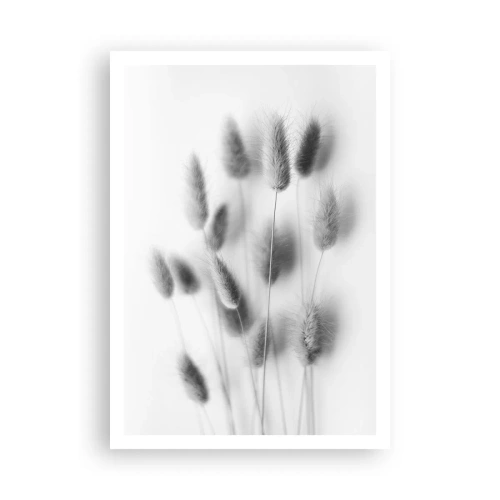 Affisch - Fluffigt gräs - 70x100 cm