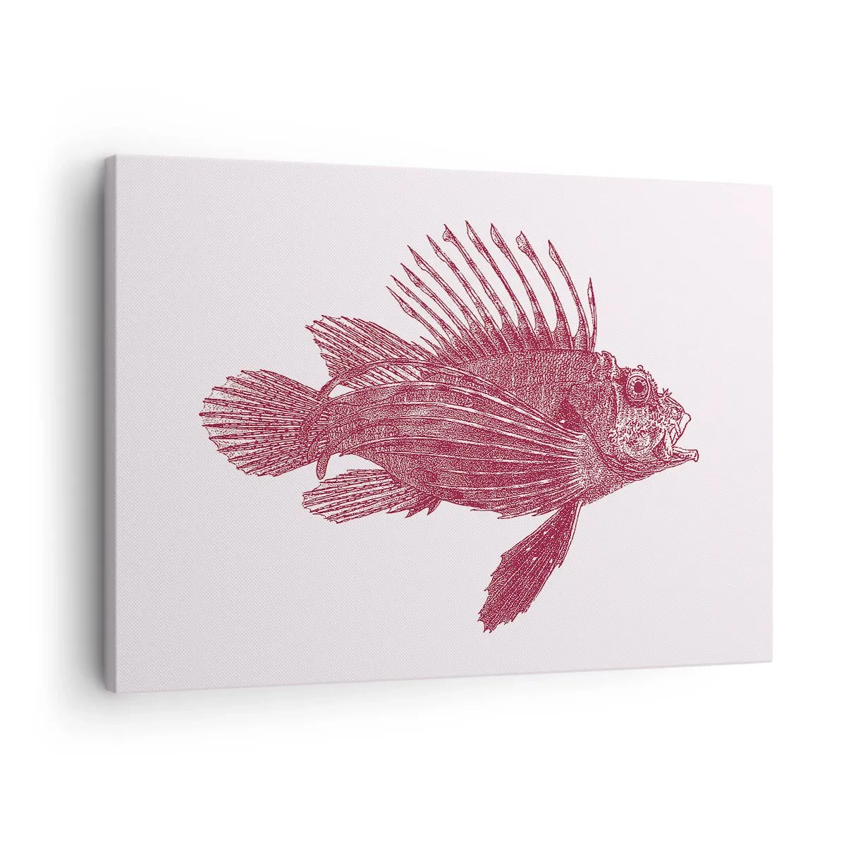 Canvastavla - Bild på duk - Ritning av en fisk i en röd nyans - 70x50cm - En invånare i exotiska vatten - Modern väggdekoration för vardagsrum och sovrum ARTTOR