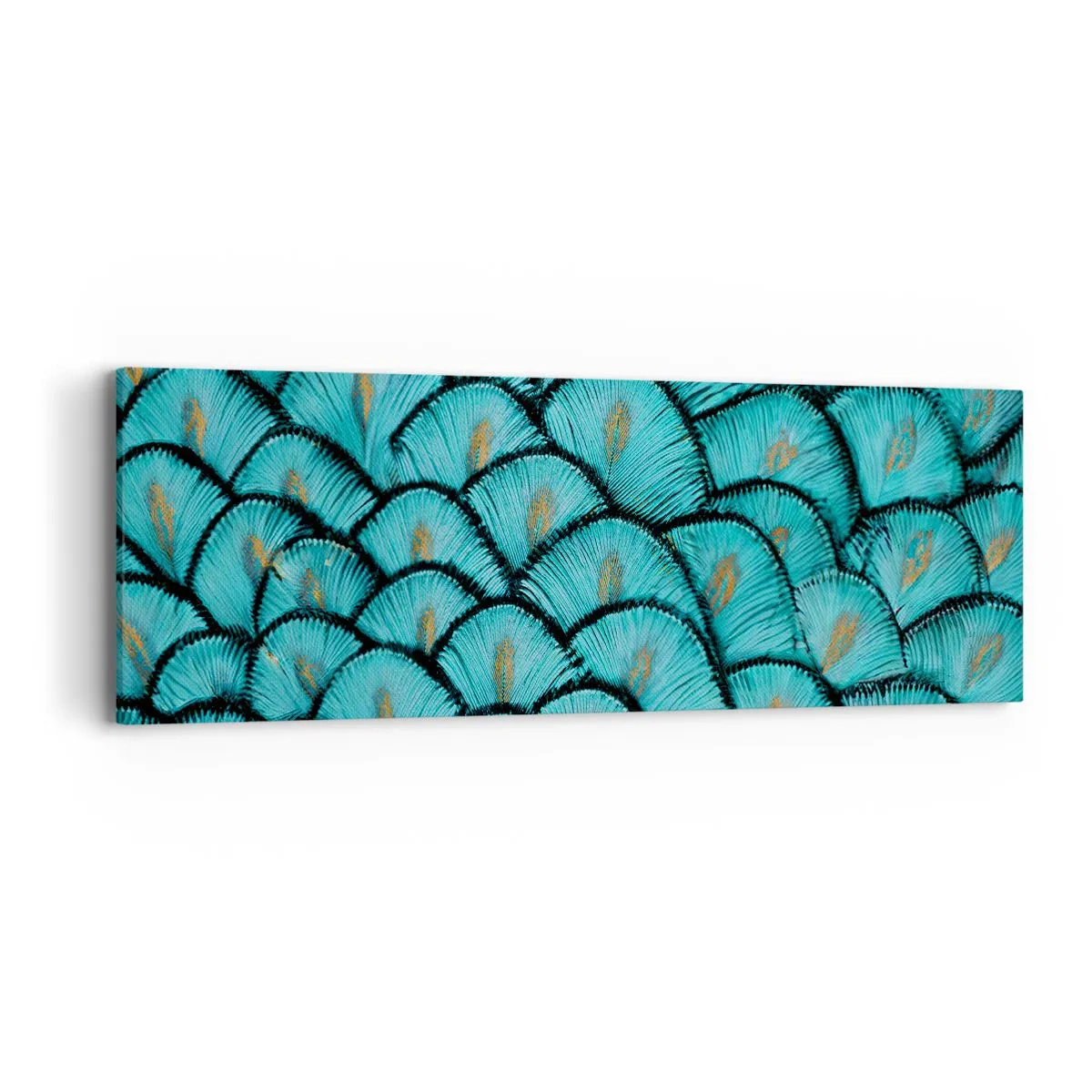 Canvastavla - Bild på duk - Den stora fjädergalan - 90x30 cm