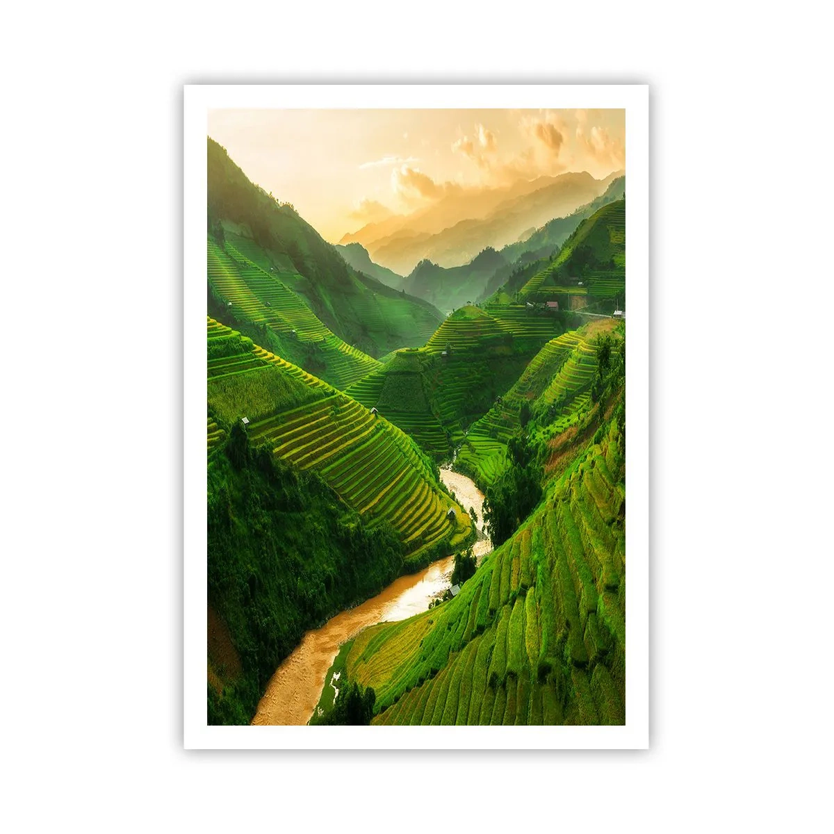Affisch - Vietnamesisk dal - 70x100 cm