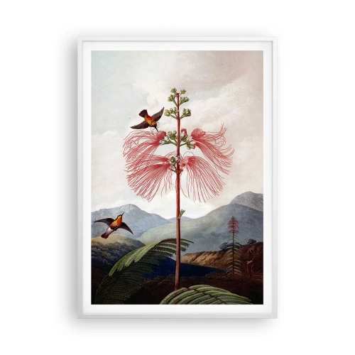 Affisch i vit ram - I ett tropiskt paradis - 70x100 cm