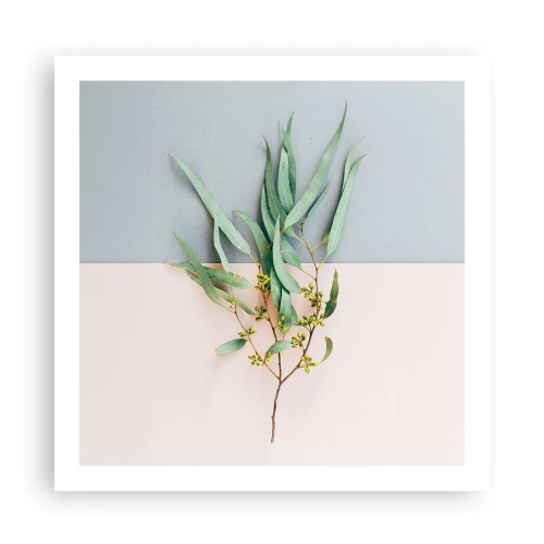 Affisch - Pastellens subtilitet - 60x60 cm