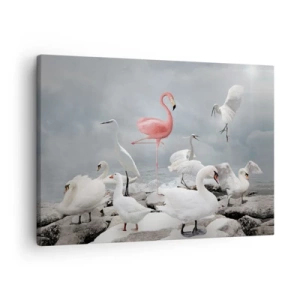 Canvastavla - Bild på duk - En rosa flamingo bland vita svanar mot bakgrund av en sjö - 70x50cm - Hur har jag hamnat här? - Modern väggdekoration för vardagsrum och sovrum ARTTOR