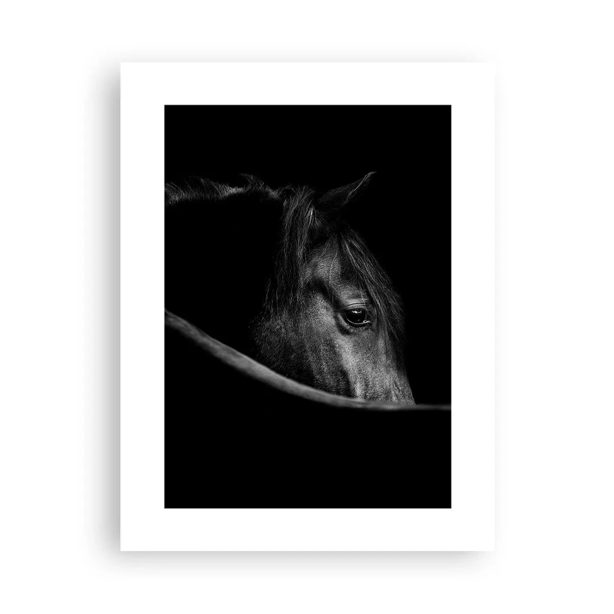 Affisch - Svart prins - 30x40 cm
