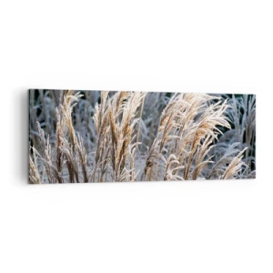 Canvastavla - Bild på duk - Frostprydda - 140x50 cm