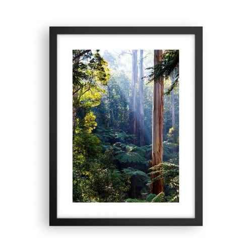 Affisch i svart ram - Skogens saga - 30x40 cm