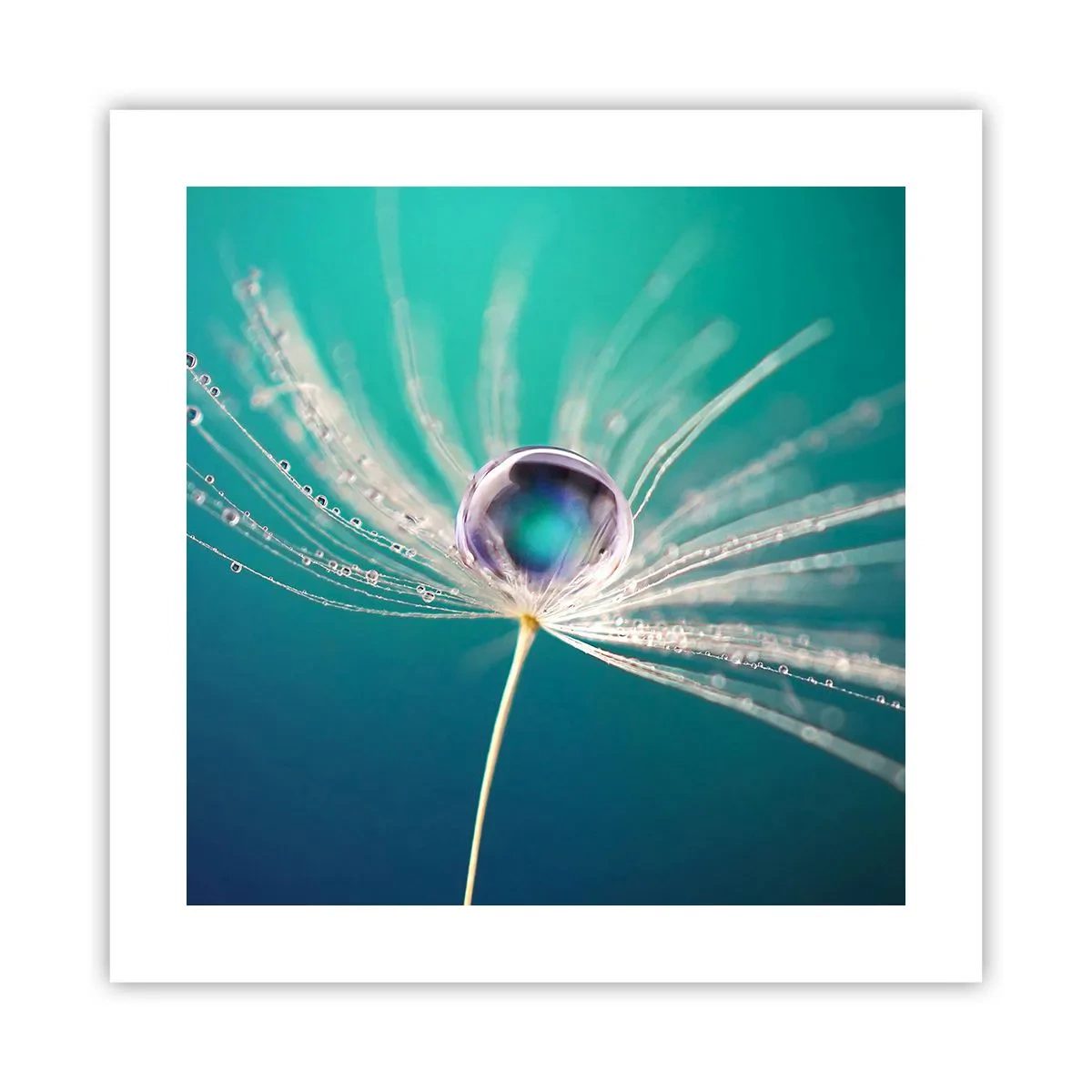 Affisch - Mystisk stund - 40x40 cm