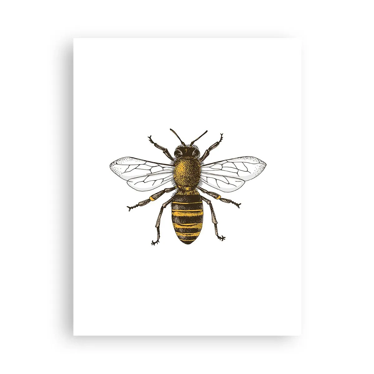 Affisch - Vackert och bra - 30x40 cm