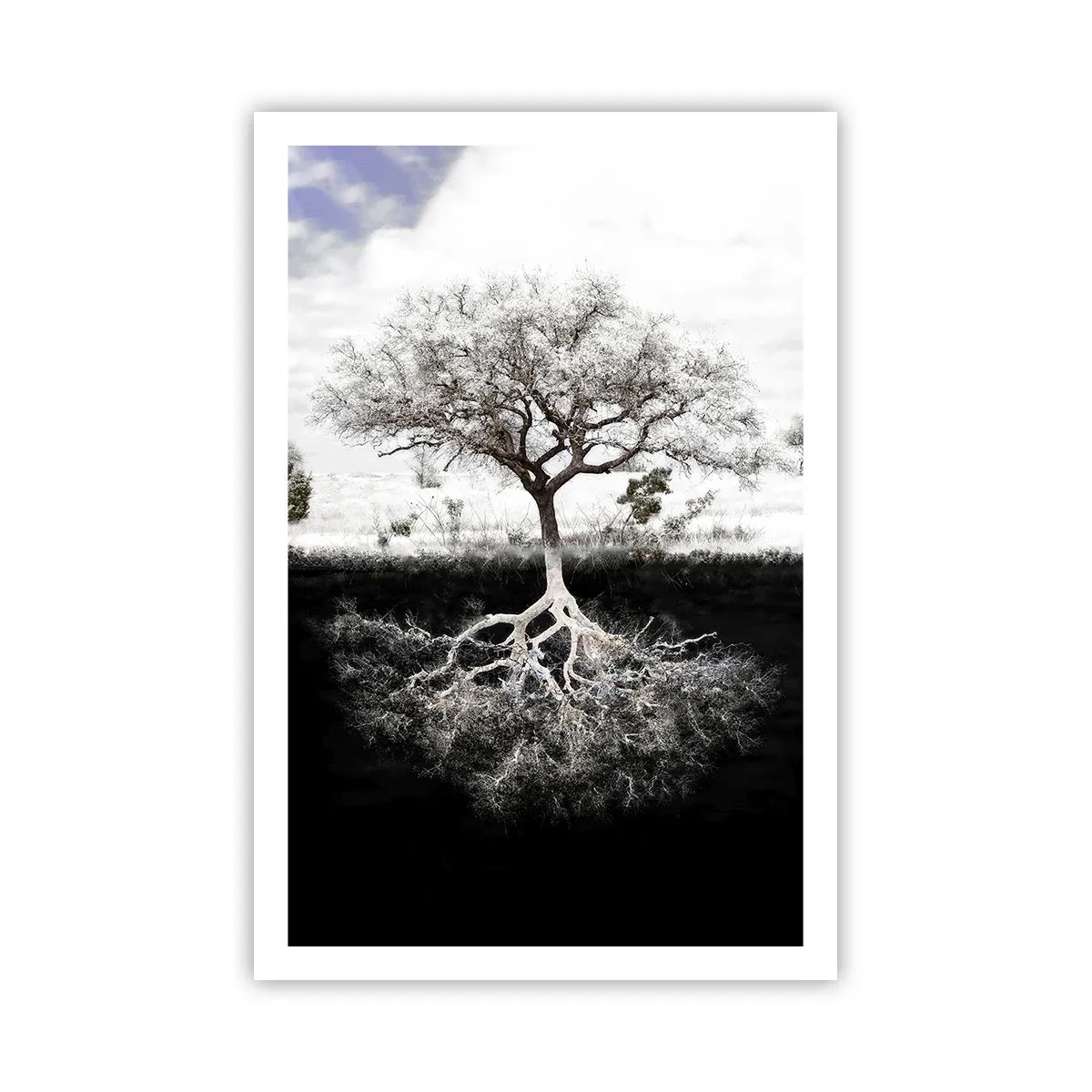 Affisch - Upptäckt av världens natur - 61x91 cm