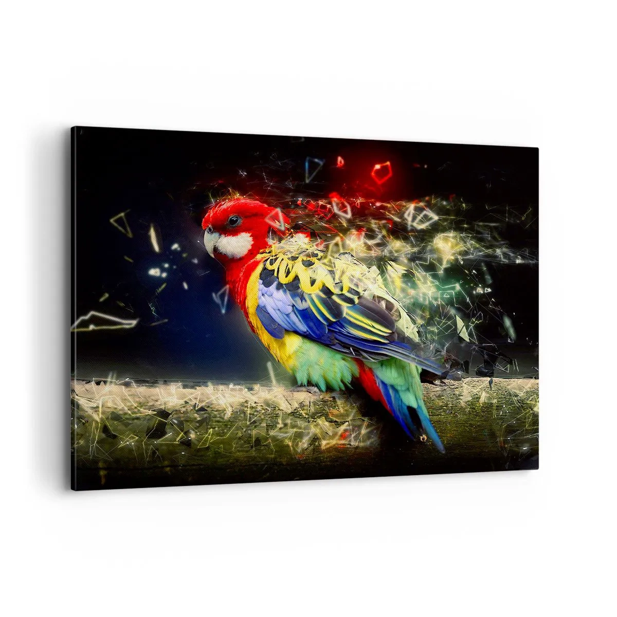 Canvastavla - Bild på duk - Skenets bud - 100x70 cm