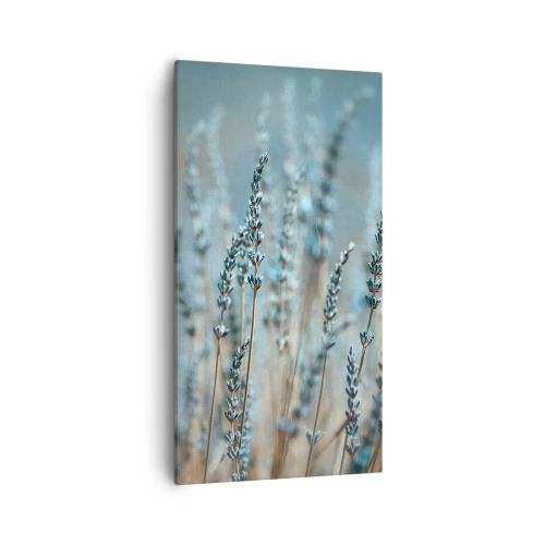 Canvastavla - Bild på duk - Doftande åkermark - 55x100 cm